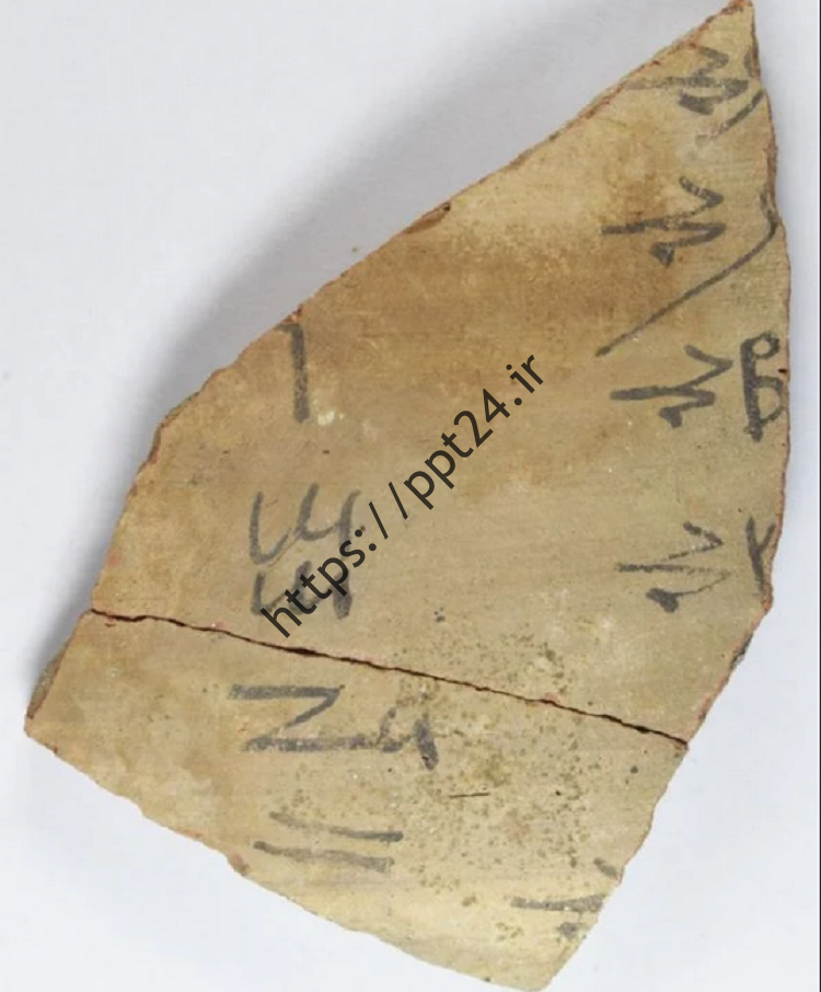 (تصاویر) کشف بزرگترین مجموعه «دفترهای یادداشت» مصر باستان!
