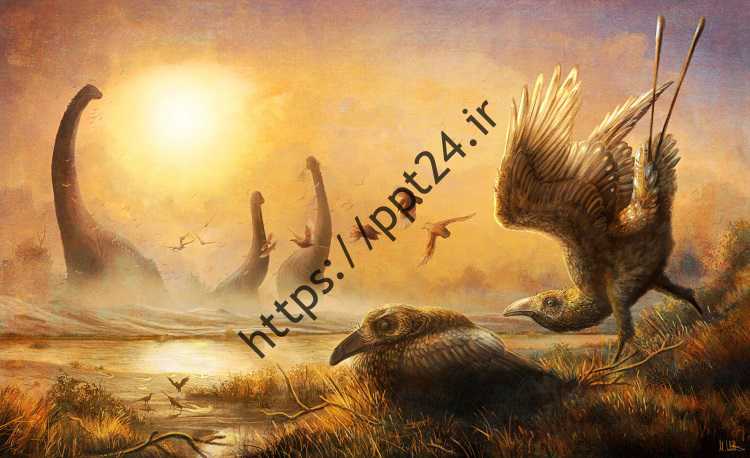 کشف بزرگترین تجمع پرندگان عصر دایناسورها در نزدیک دیوار چین