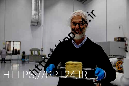 تولید همبر و ناگت گیاهی از میکروبهای آب